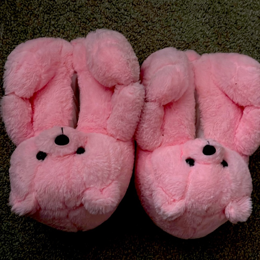 Bear house shoes